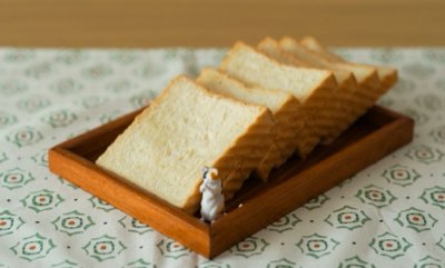 10% Rule: Treats vs. Main Diet for Optimal Cat Health