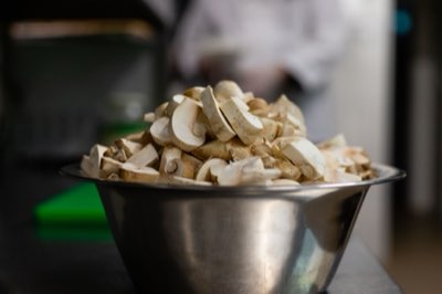 Fresh Meals vs. Dry Kibble: A Guide for Cat Owners Today