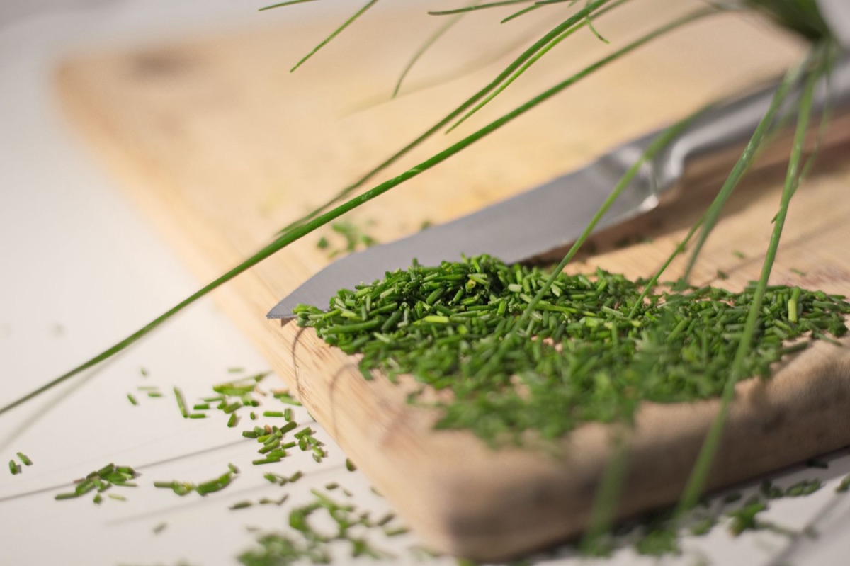 organic cat food ingredients in a clean kitchen