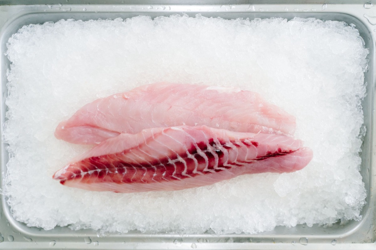 高階貓糧原料選擇指南：新鮮魚肉