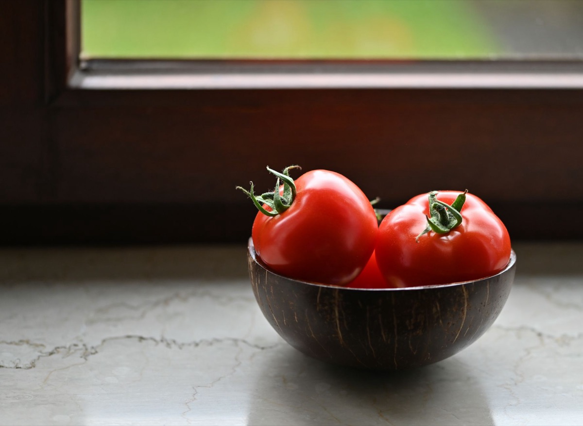 alimento para perro con vegetales