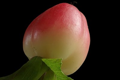 Sécurité canine : Préparer les légumes pour chien, 5 points clés