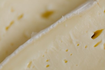 Milchprodukte für Tiere: Fett, Salz und Laktose – Was zählt?