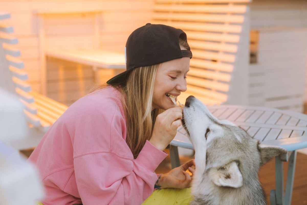 chien mangeant fromage