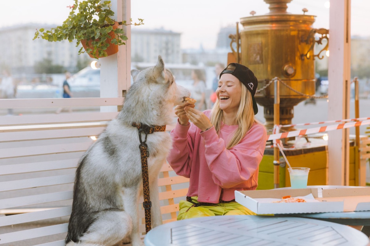 Dog eating cheese