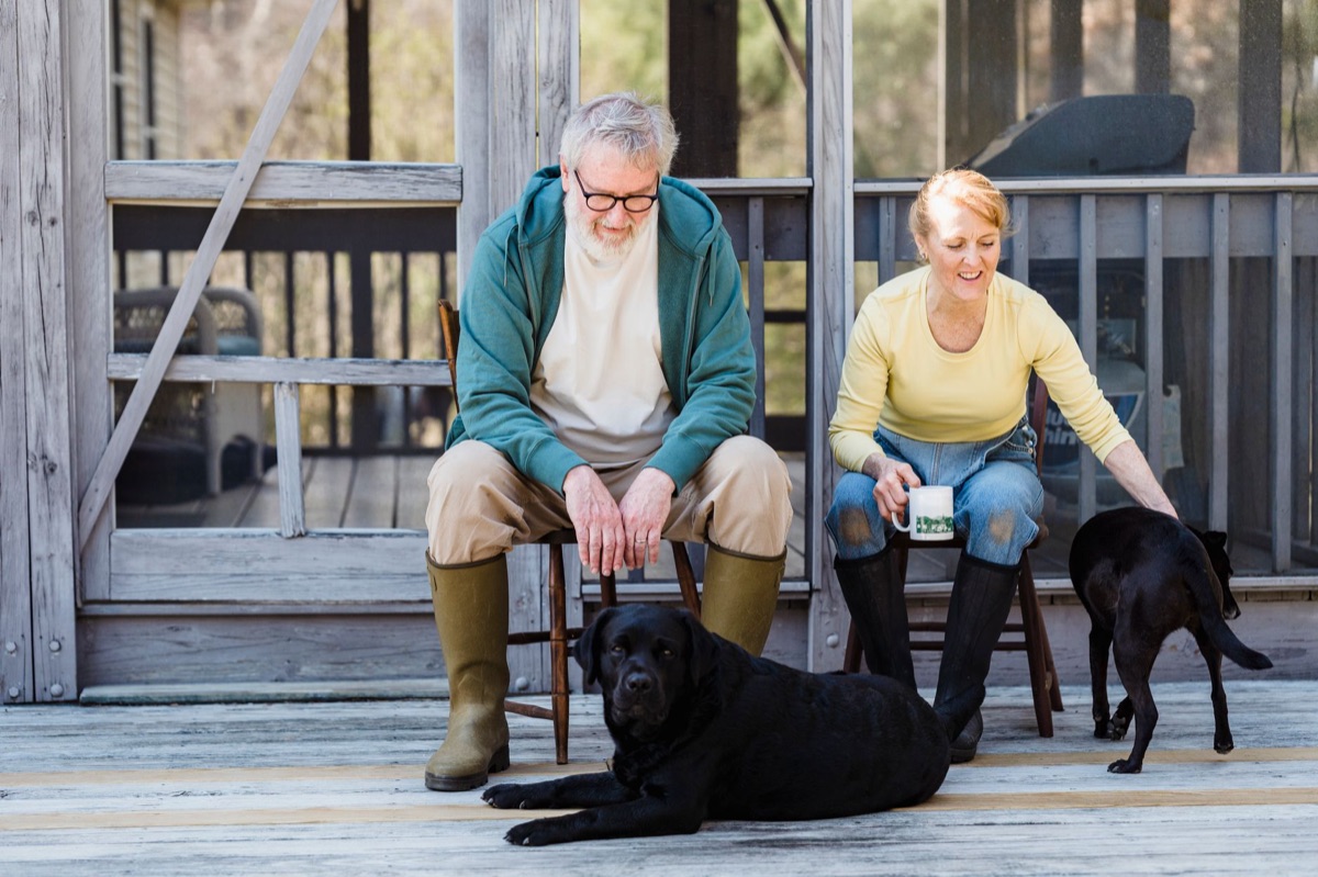 Senior dog with joint support supplement