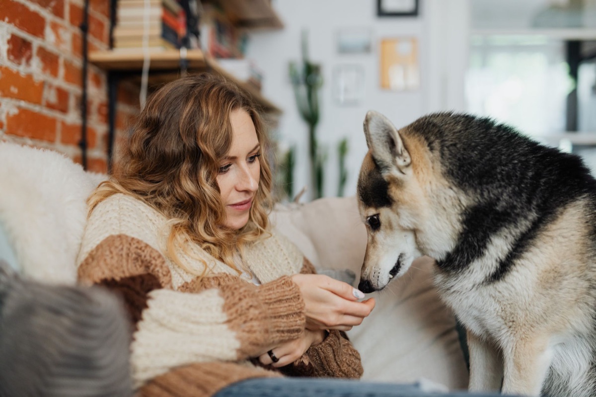 hond met omega 3 supplement