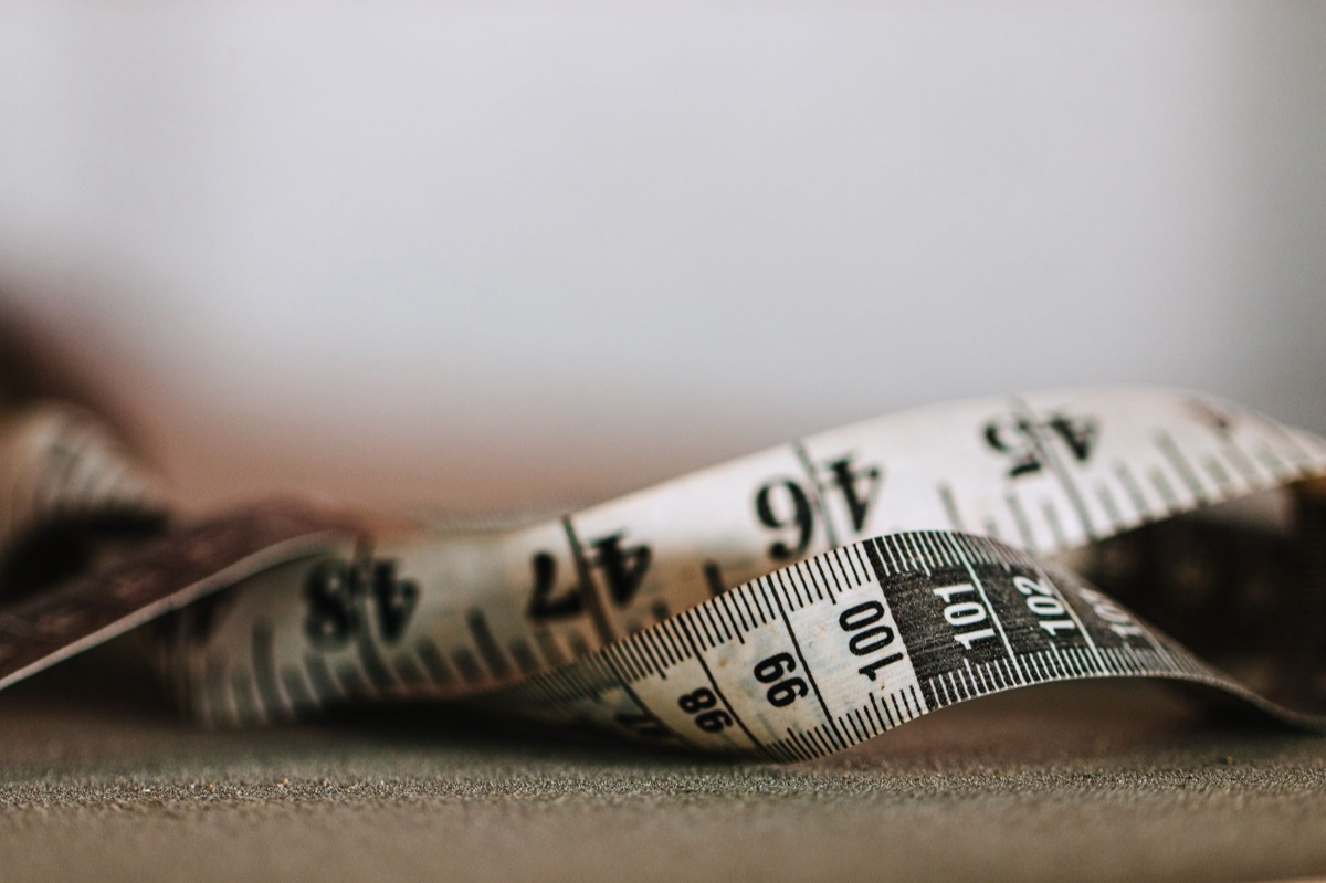 cat food can with measuring ruler