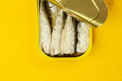 고양이 간식 급여, 10% 법칙으로 영양 균형 잡으세요