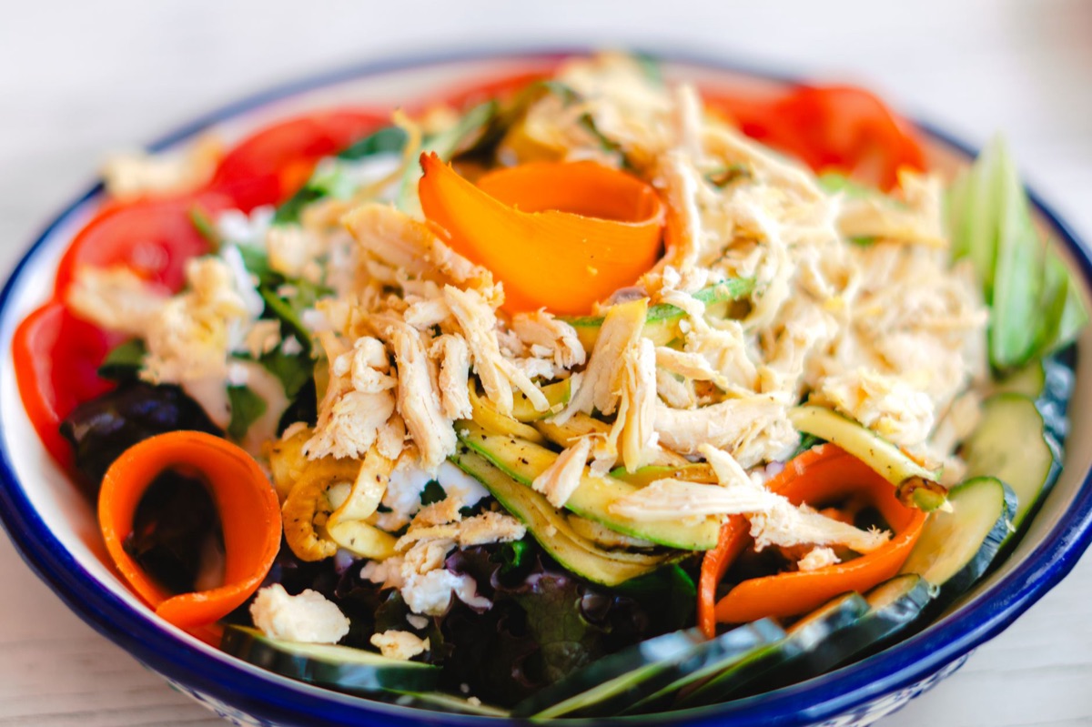 cane in una ciotola con pollo e verdure