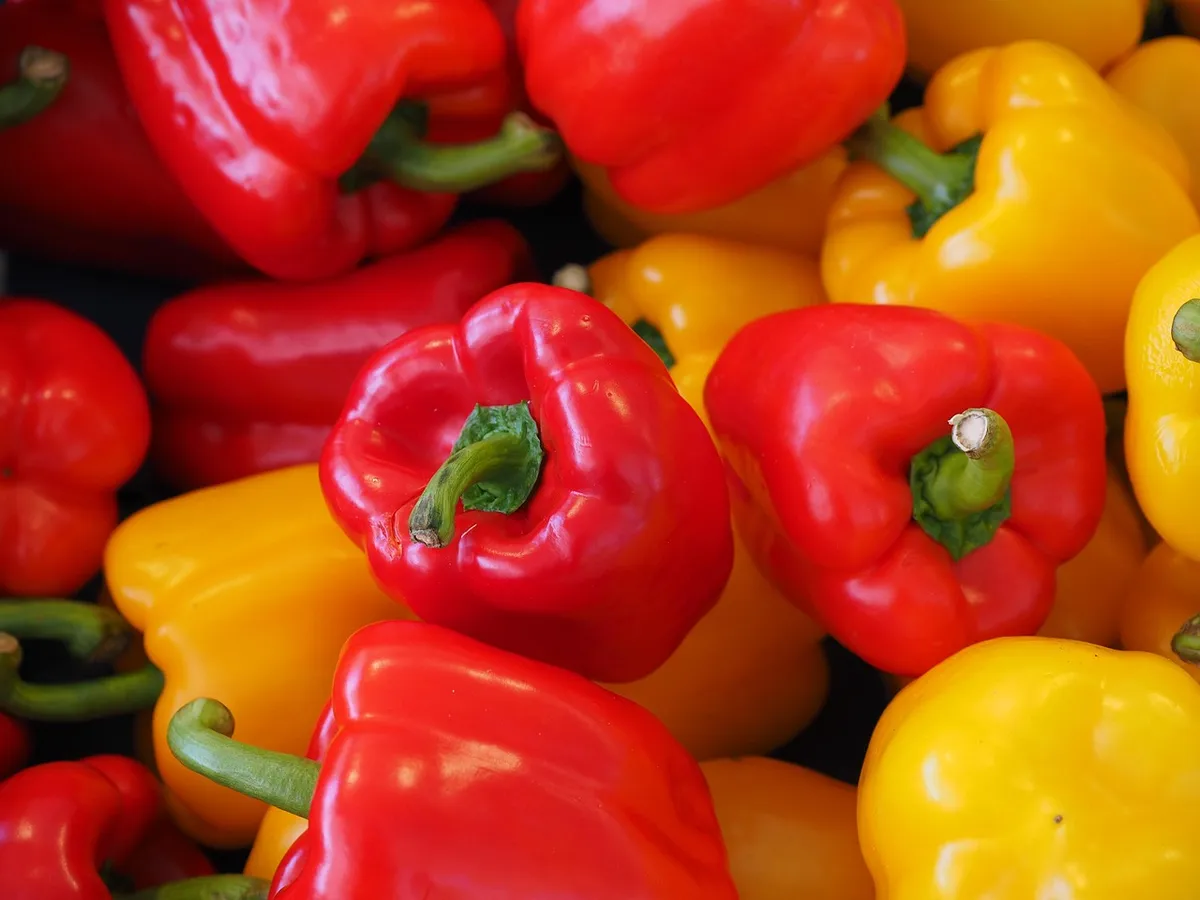 bell peppers, sweet peppers, capsicums, vegetables, fresh, fresh vegetables, harvest, organic, produce, red bell peppers, yellow bell peppers, food photography,