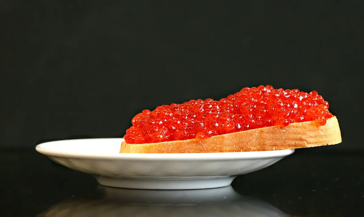caviar sandwich, fish, snack, salmon, bread, plate, taste, nature, red, food